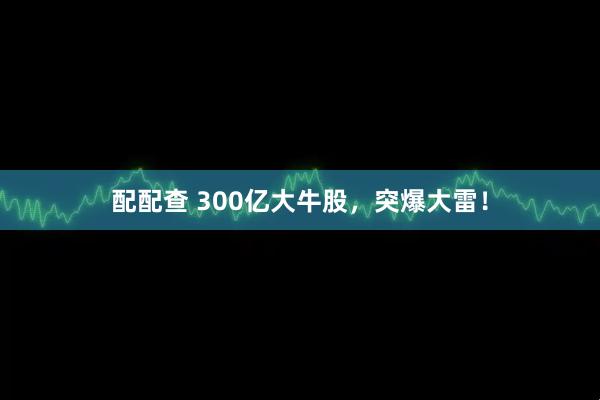 配配查 300亿大牛股，突爆大雷！