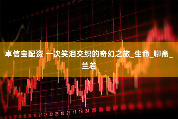 卓信宝配资 一次笑泪交织的奇幻之旅_生命_聊斋_兰若