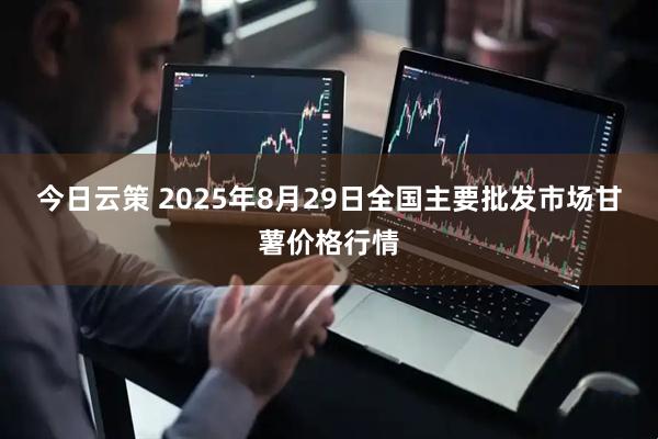 今日云策 2025年8月29日全国主要批发市场甘薯价格行情