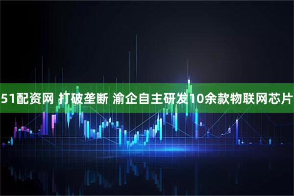 51配资网 打破垄断 渝企自主研发10余款物联网芯片