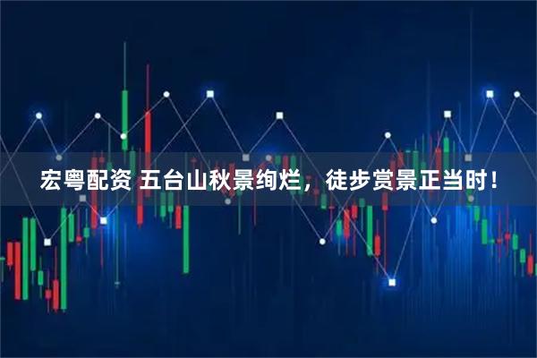 宏粤配资 五台山秋景绚烂，徒步赏景正当时！