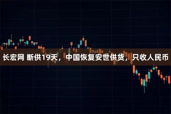 长宏网 断供19天,中国恢复安世供货,只收人民币