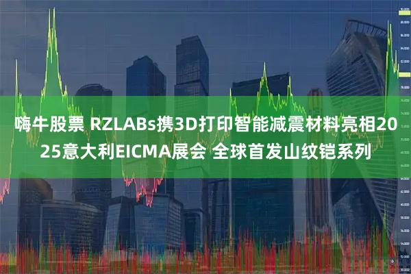 嗨牛股票 RZLABs携3D打印智能减震材料亮相2025意大利EICMA展会 全球首发山纹铠系列